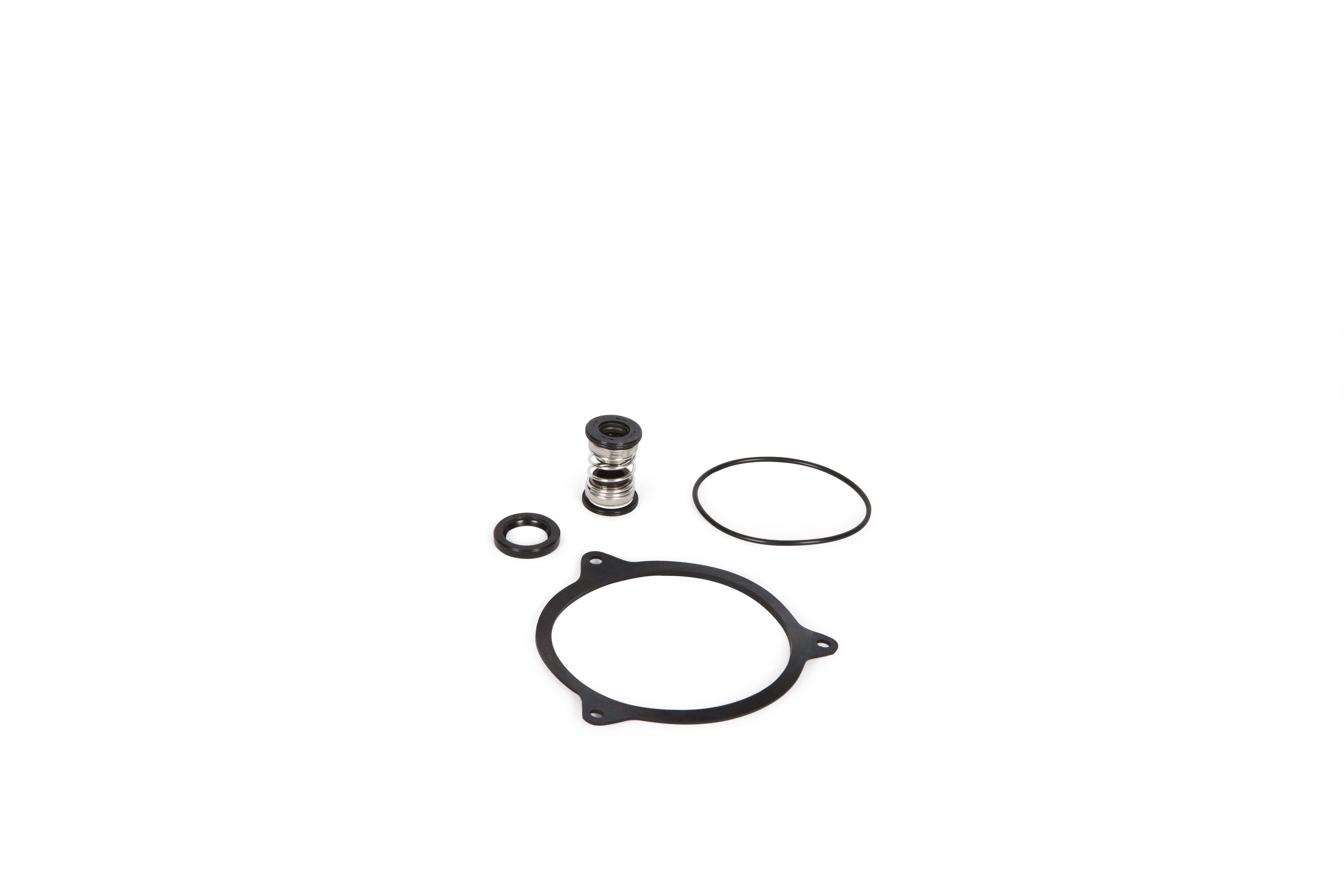 Lower Oil Seal Rebuild Kit For A-21/31